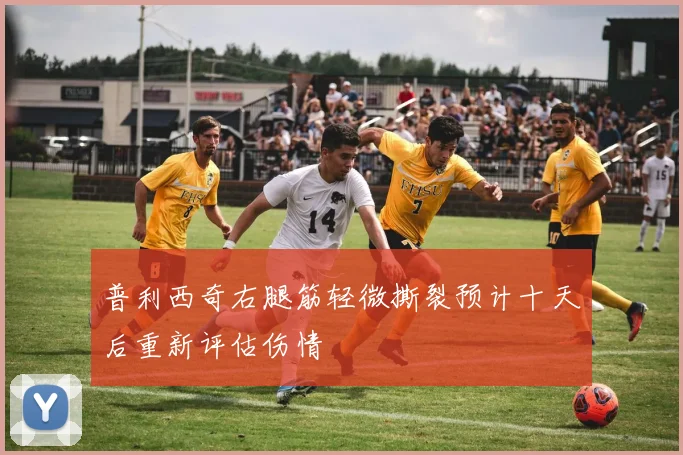普利西奇右腿筋轻微撕裂预计十天后重新评估伤情